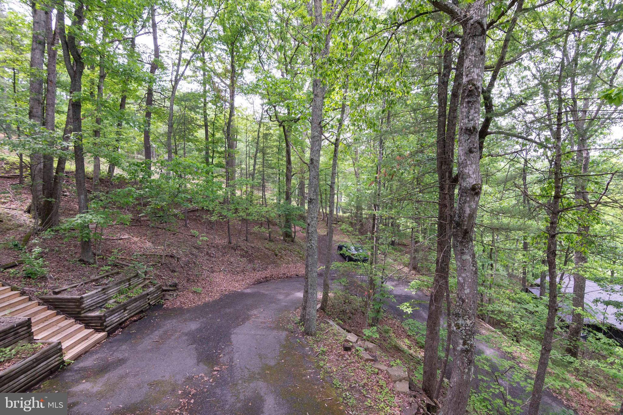 272 Fritzel Way Mount Jackson, VA 22842 - Photo 50 of 60 a view of a forest with trees
