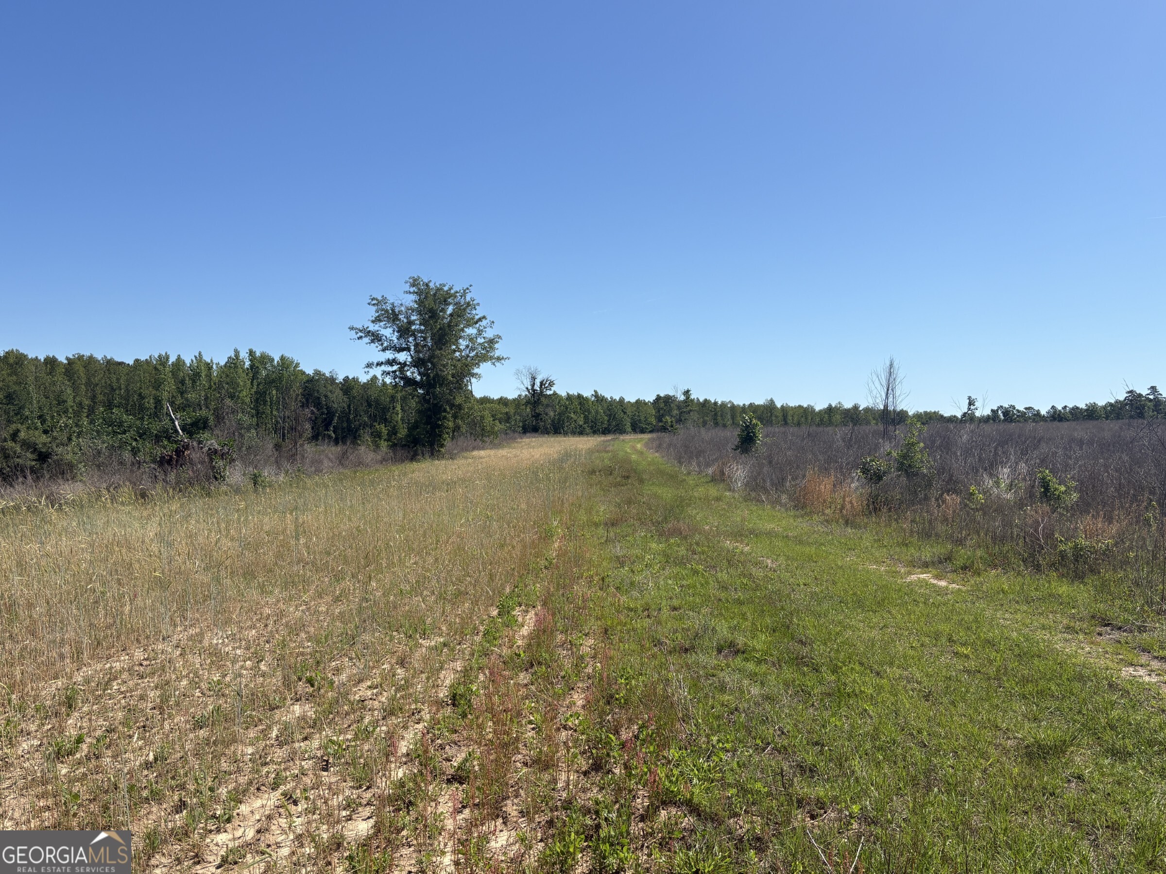 2638 Henderson Grove Road Davisboro, GA 31018 - Photo 36 of 45