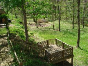 215 Red River Road Jonesborough, TN 37659 - Photo 10 of 12 Photo 10