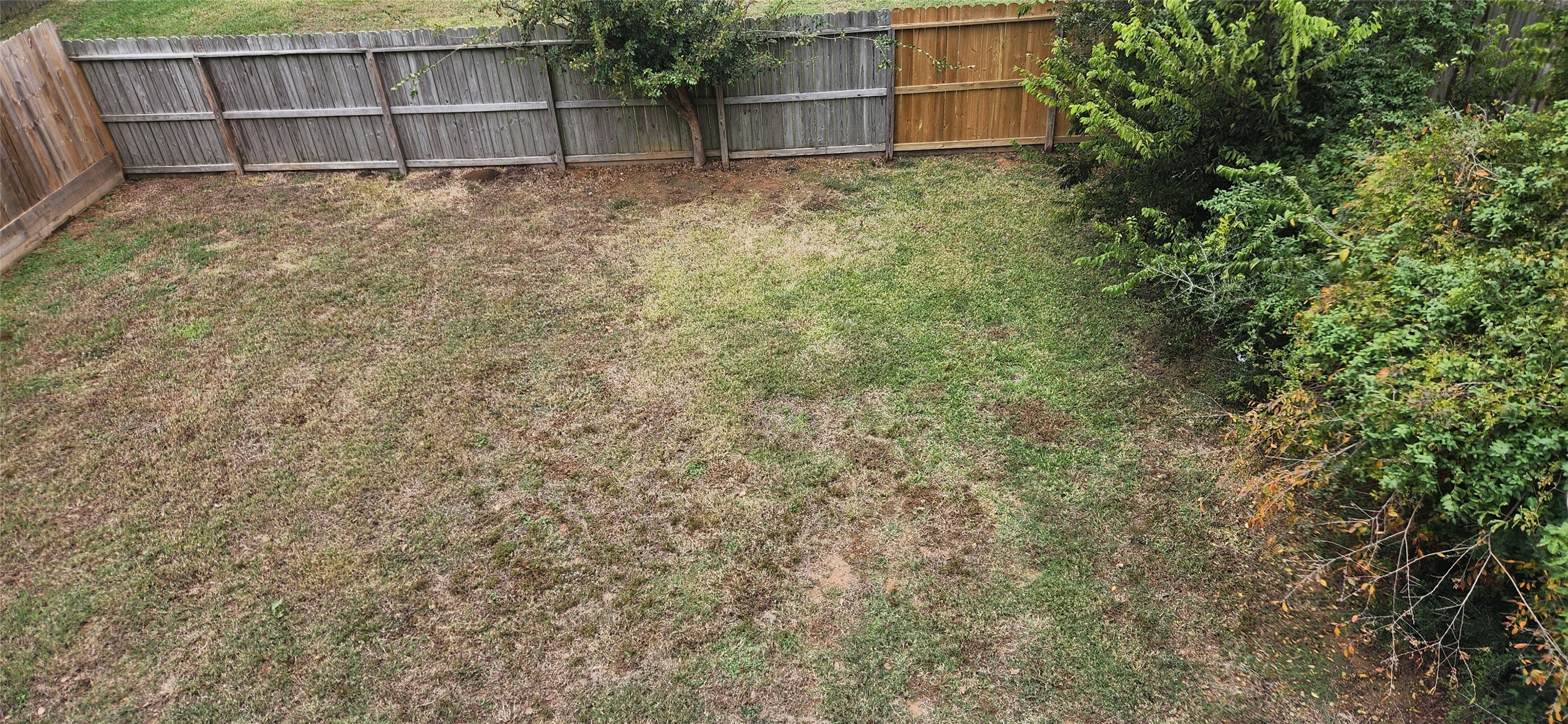 1226 9th Street San Leon, TX 77539 - Photo 29 of 32 a view of backyard and wooden fence
