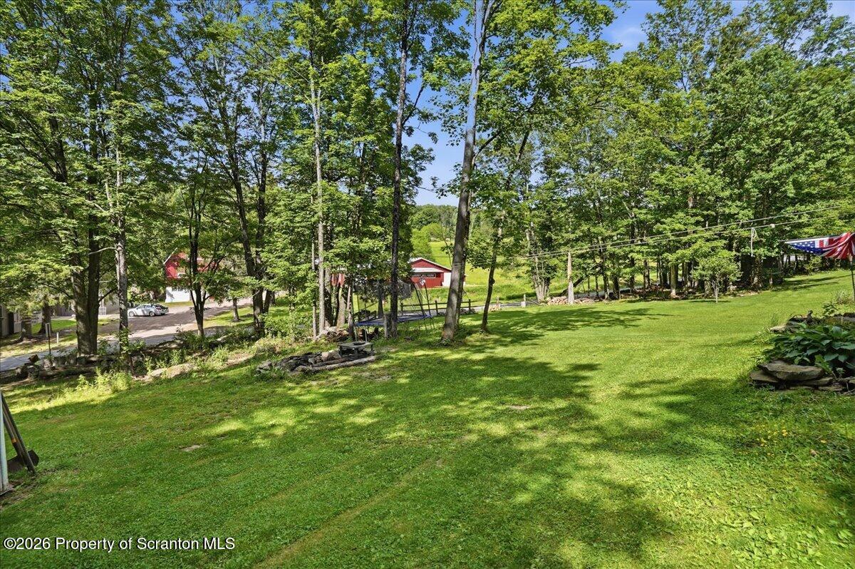 74 Quarry Hill Road Union Dale, PA 18470 - Photo 43 of 54 Yard