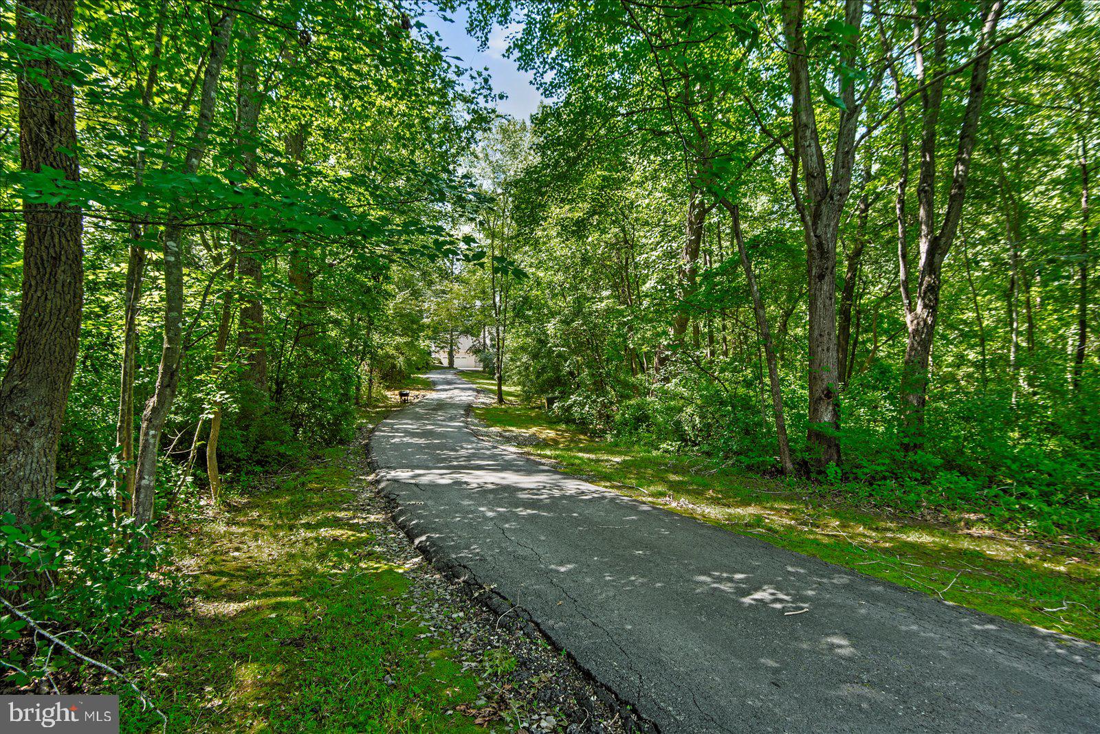 104 Willowmere Pond Road Stafford, VA 22556 - Photo 6 of 81