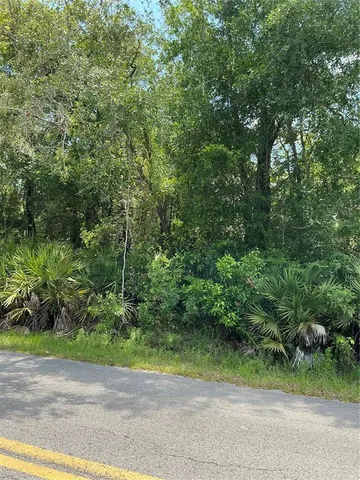 a view of a yard with plants and trees front of house