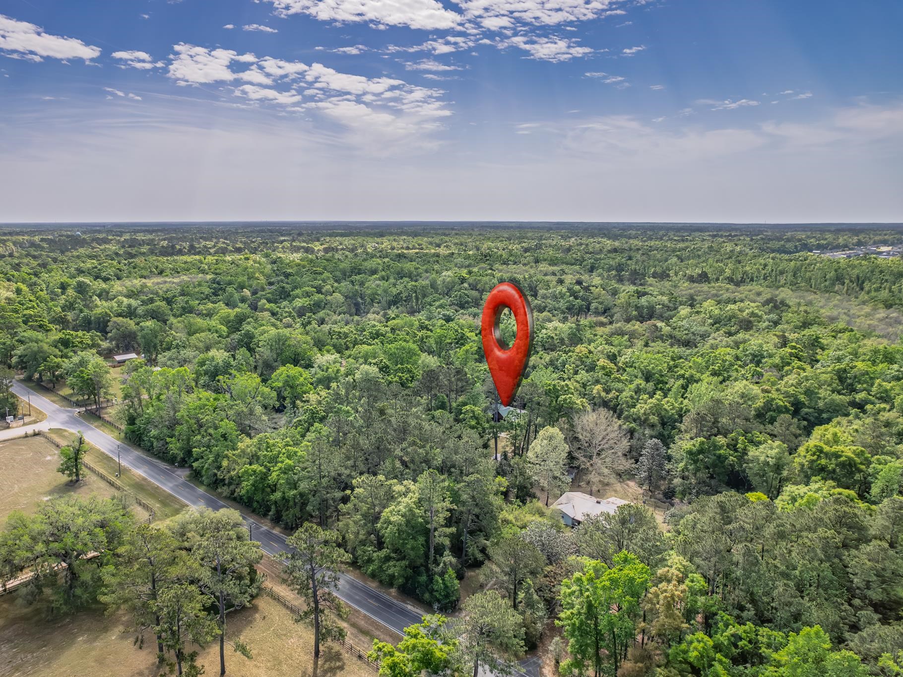 965 Shadeville Road Crawfordville, FL 32327 - Photo 8 of 29