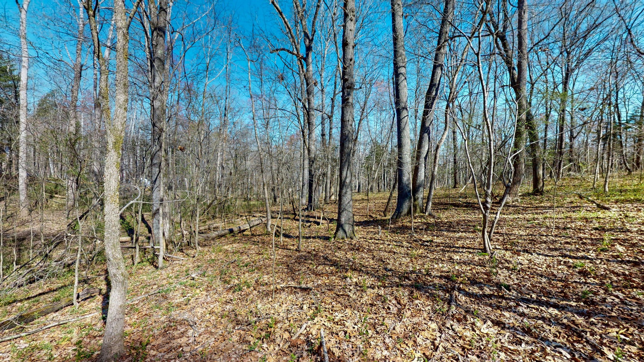 1461 Southside Road Southside, TN 37171 - Photo 10 of 28 a view of a backyard