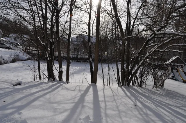 a view of backyard space