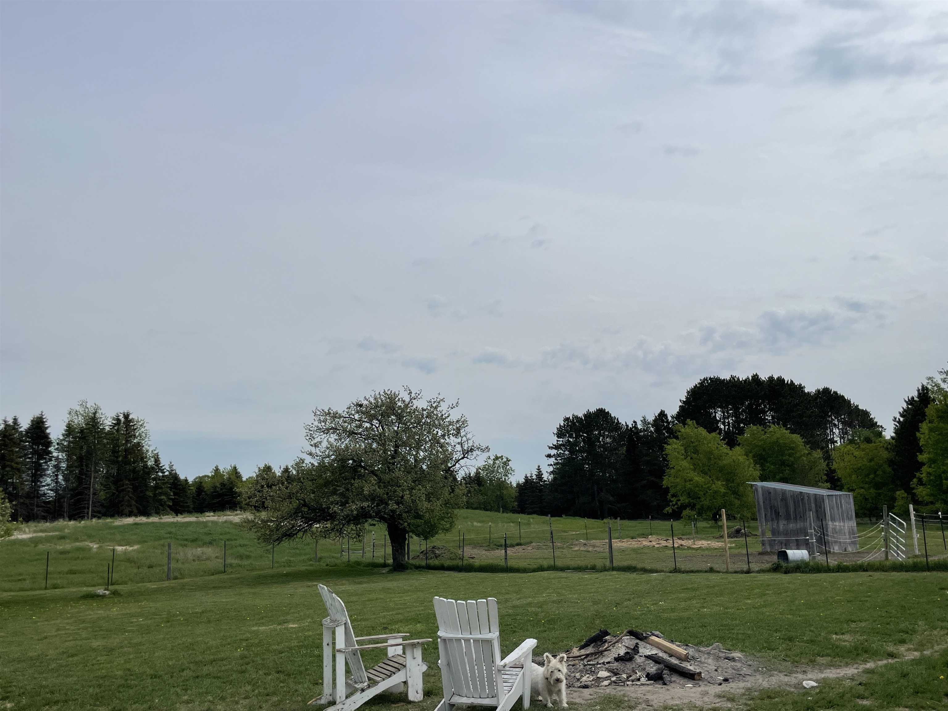 8402 North Lucas Road Manton, MI 49663 - Photo 93 of 98