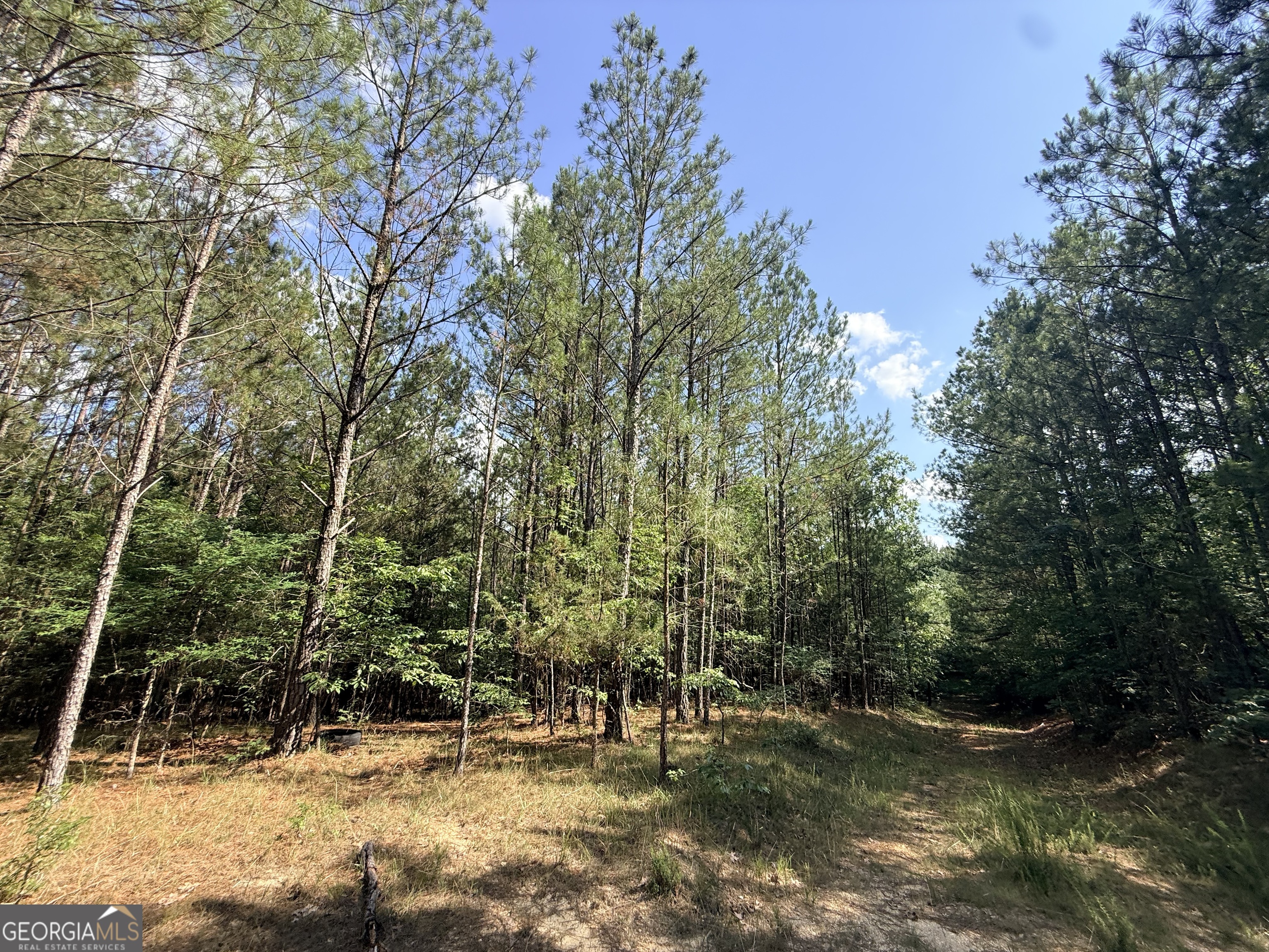 2 Bethesda Church Road Lexington, GA 30648 - Photo 34 of 66