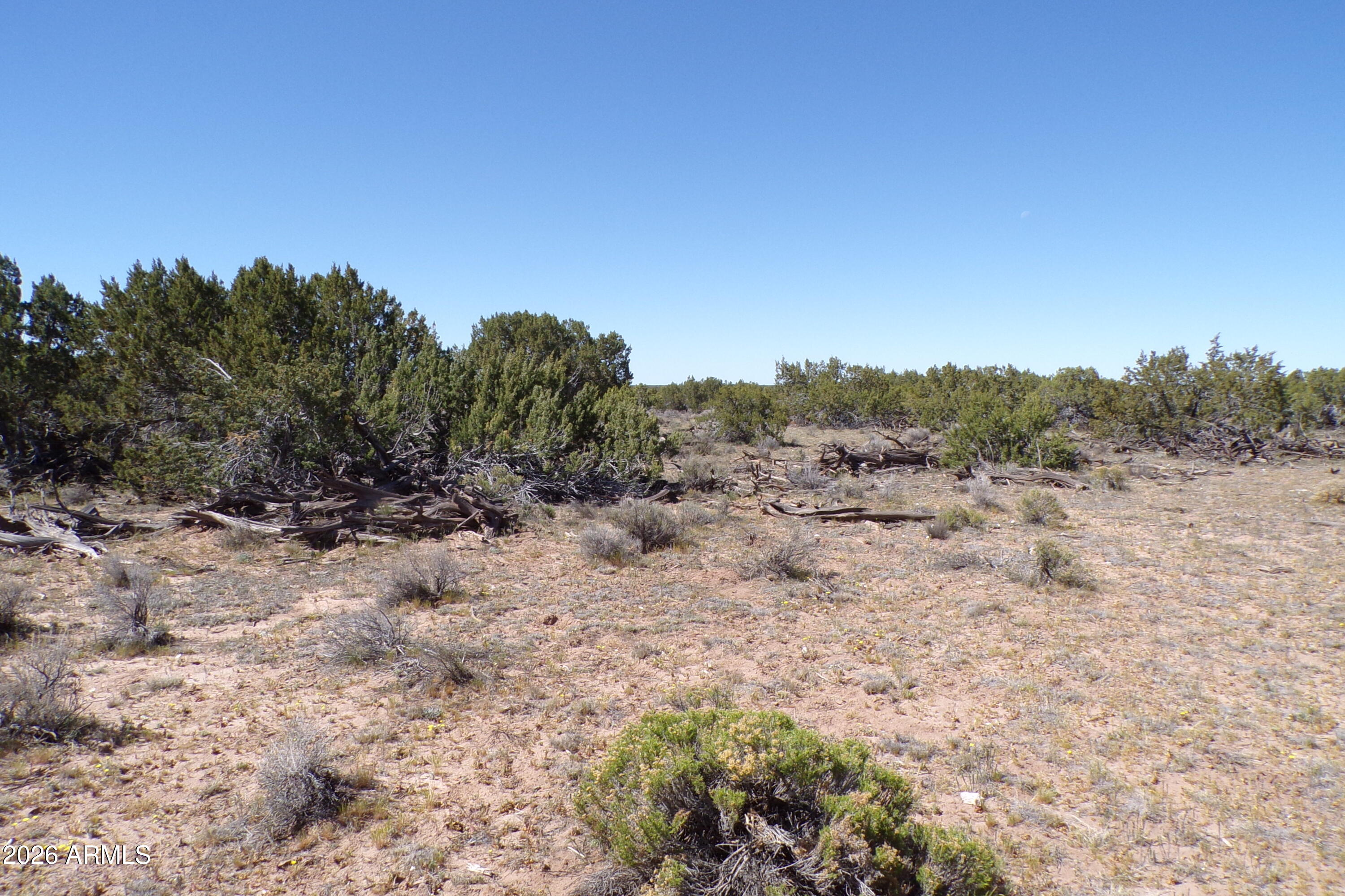 0 Ranch Road Sanders, AZ 86512 - Photo 23 of 42 a view of a dry field