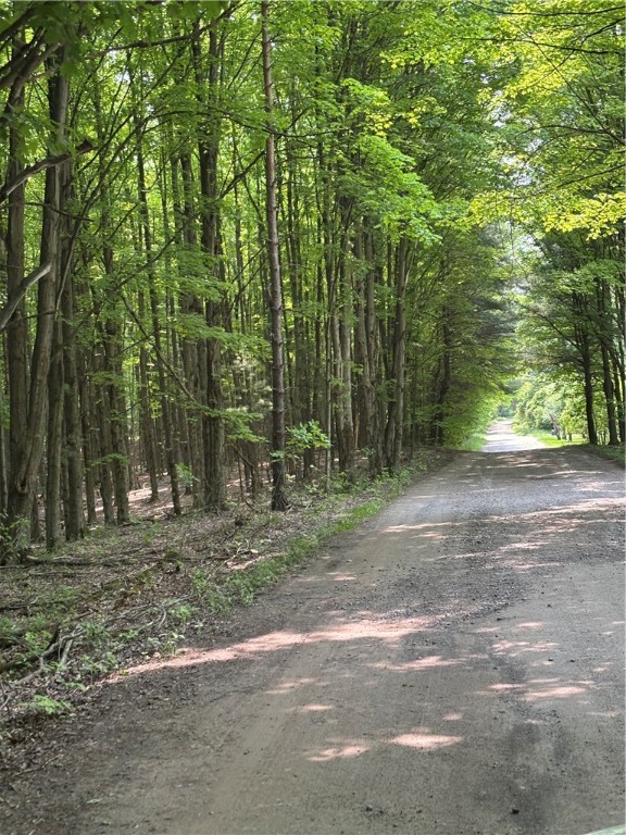 Spring Road South Dansville, NY 14437 - Photo 11 of 12