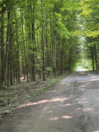 $38,000 | Spring Road South, Dansville, NY 14437