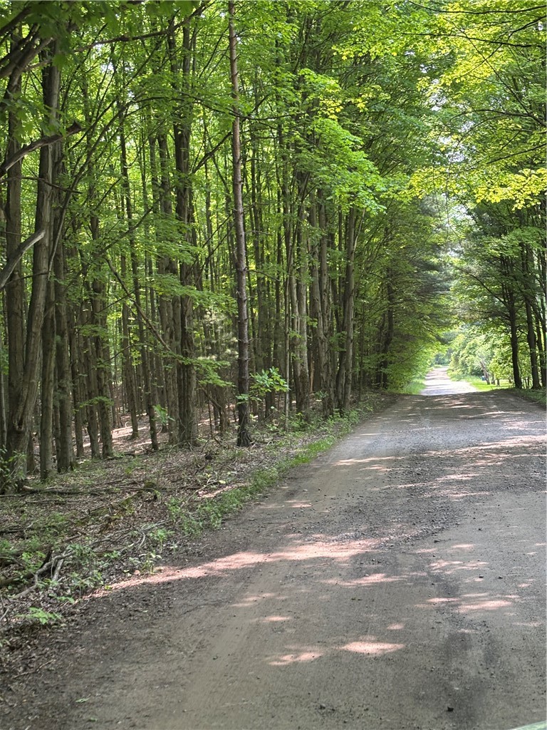 Spring Road South Dansville, NY 14437 - Photo 11 of 12