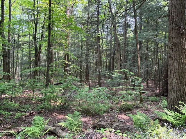 $38,000 | Spring Road South, Dansville, NY 14437