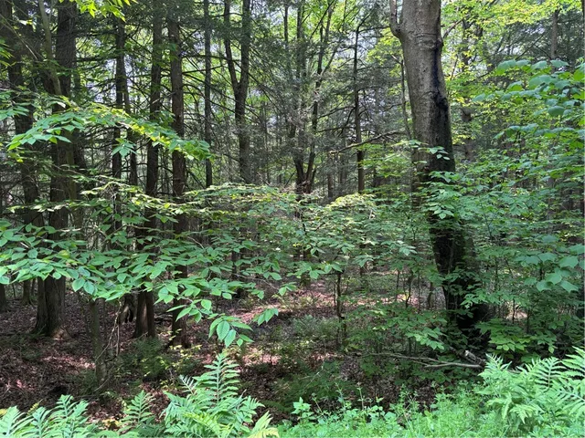 $38,000 | Spring Road South, Dansville, NY 14437