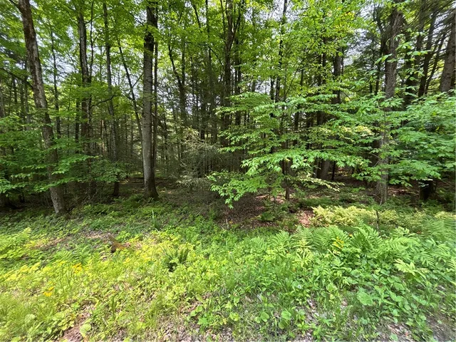 $38,000 | Spring Road South, Dansville, NY 14437