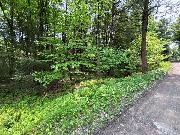 $38,000 | Spring Road South, Dansville, NY 14437