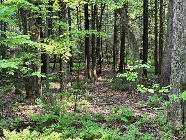 $38,000 | Spring Road South, Dansville, NY 14437