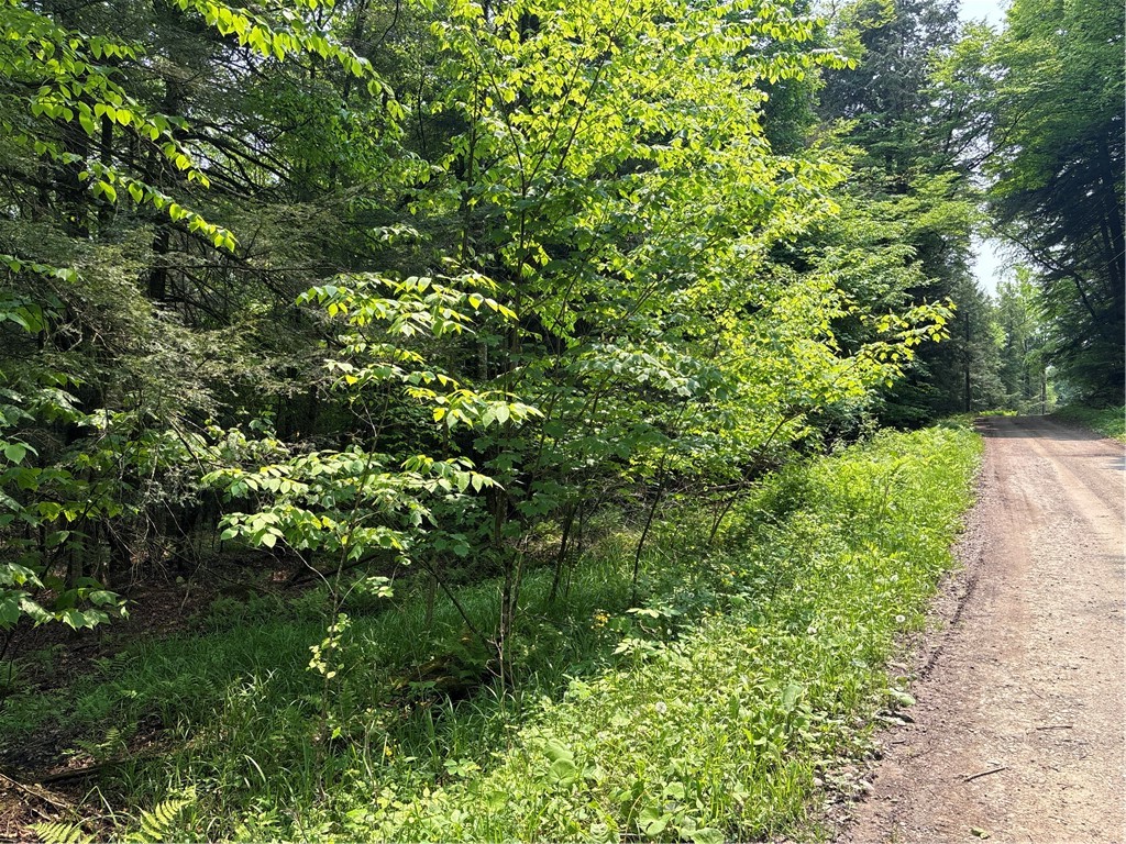 Spring Road South Dansville, NY 14437 - Photo 9 of 12