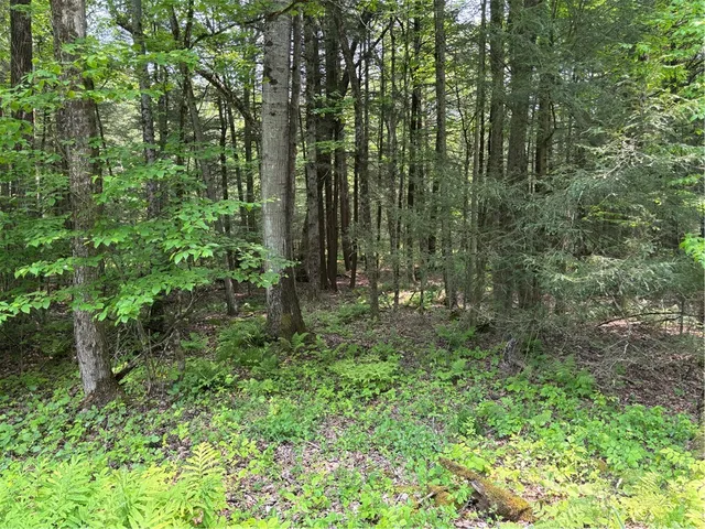 $38,000 | Spring Road South, Dansville, NY 14437