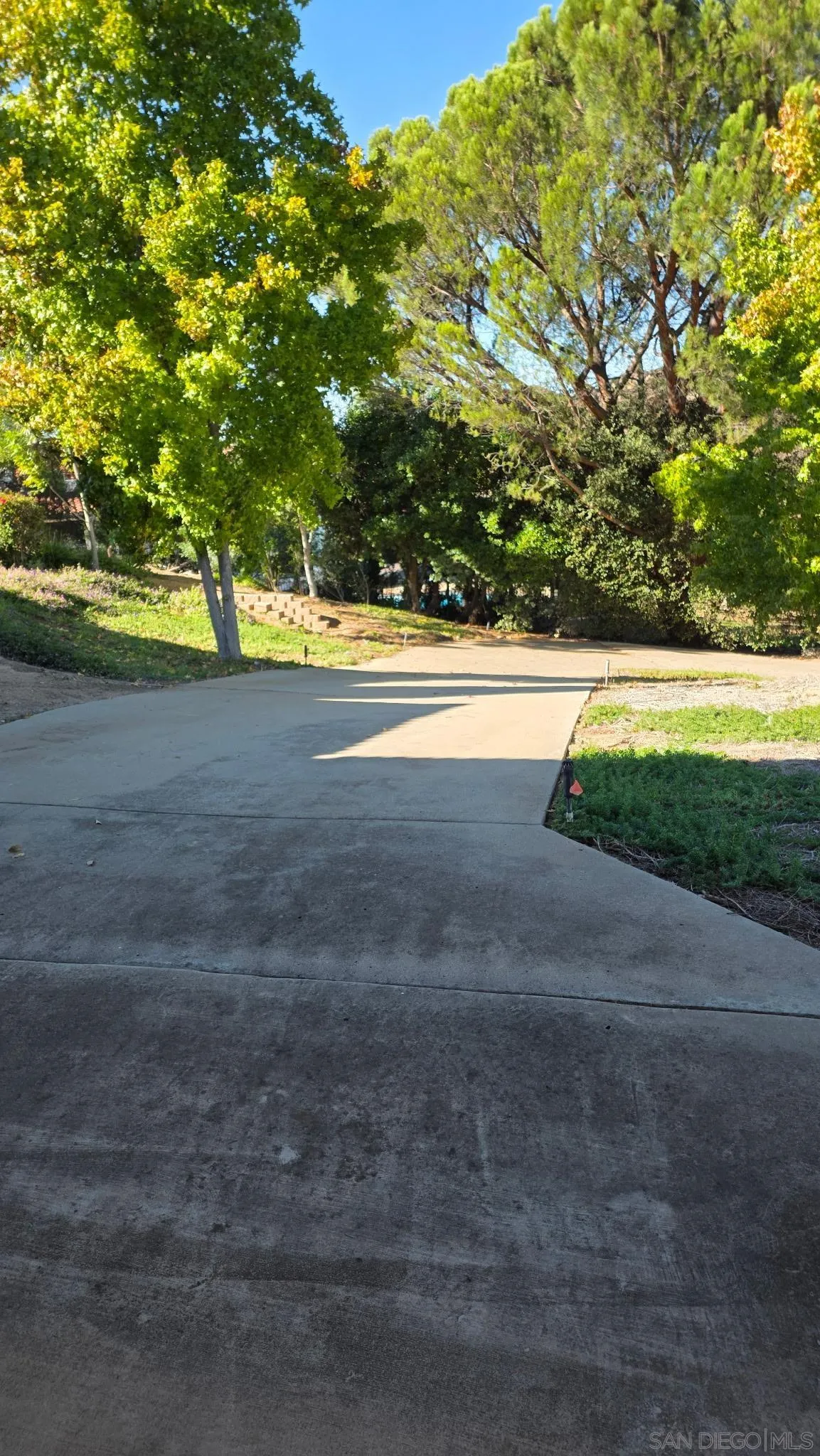 3725 Via Cielo Azul Alpine, CA 91901 - Photo 33 of 37 a view of yard with swimming pool and trees in the background