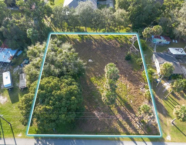 a view of a park with large trees