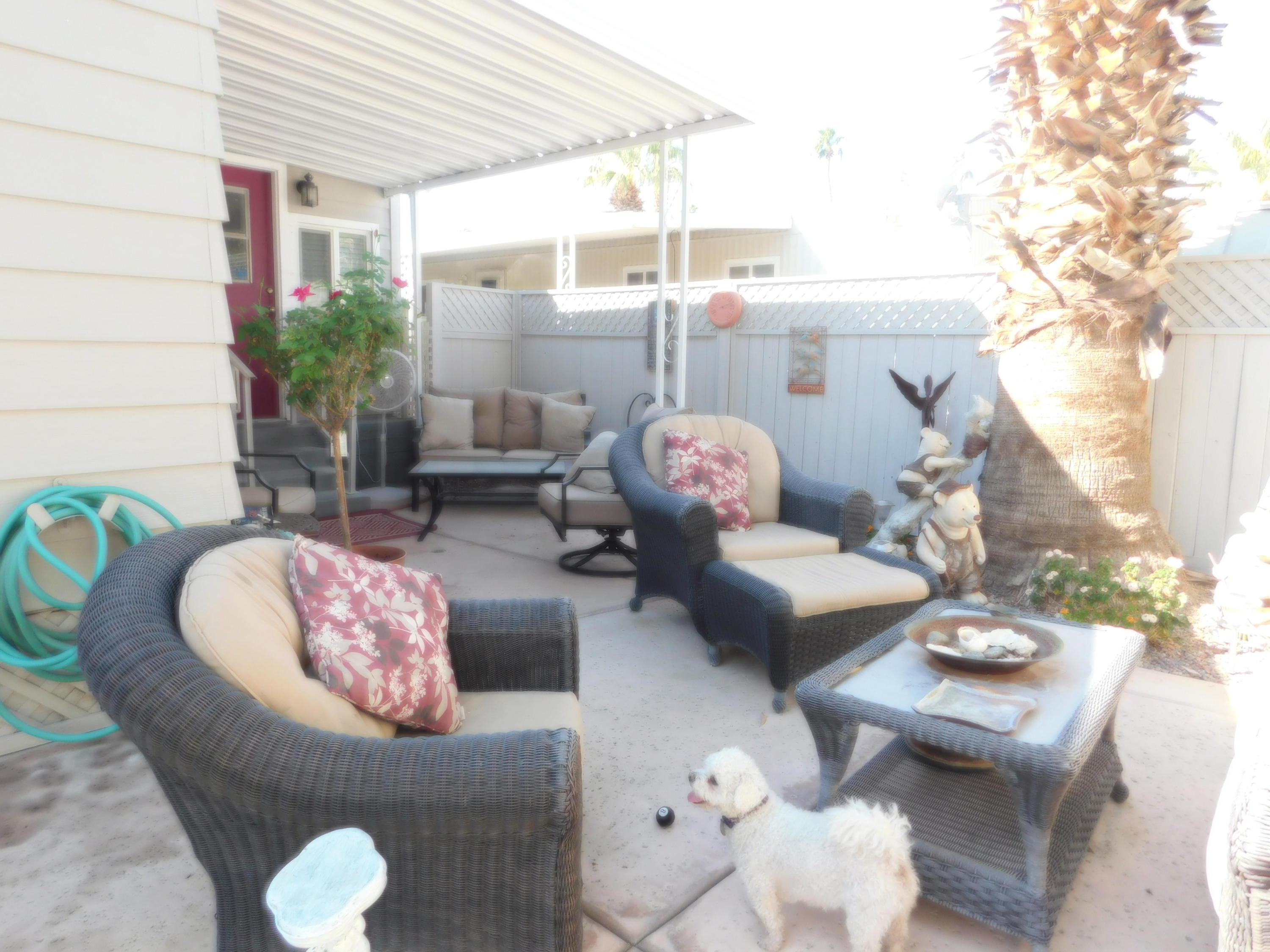 51555 Monroe Street, Unit 52 Indio, CA 92201 - Photo 32 of 42 a living room with furniture and a potted plant