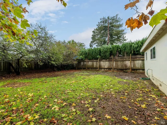 a view of a backyard