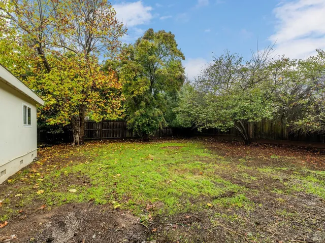 a view of a yard with trees