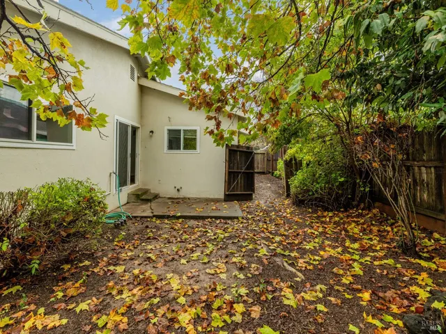 a backyard of a house with plants and trees