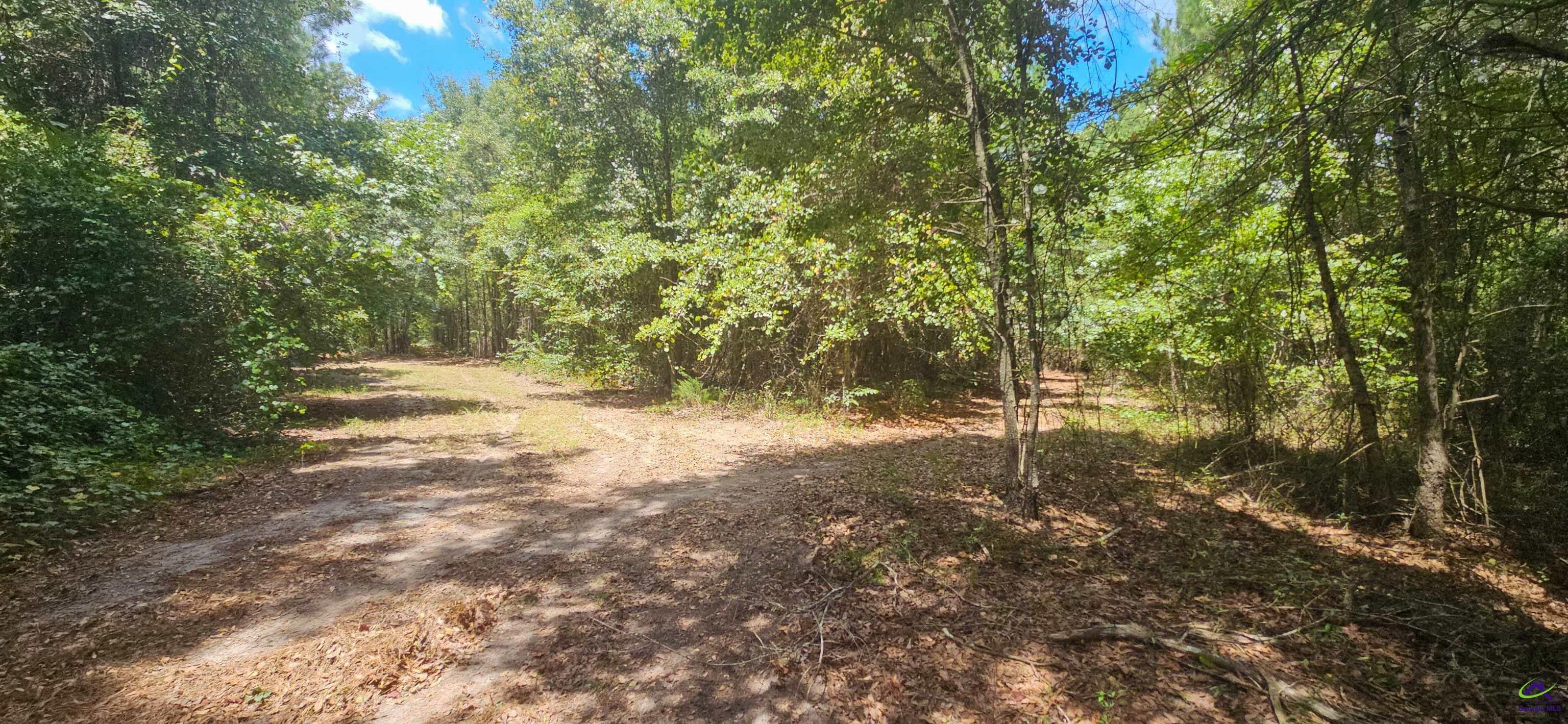 0 Priest Road Vienna, GA 31092 - Photo 18 of 26 Gallery Image 18