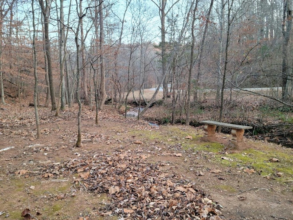 703 Creek Valley Road Stuart, VA 24171 - Photo 29 of 30 Gallery Image 29