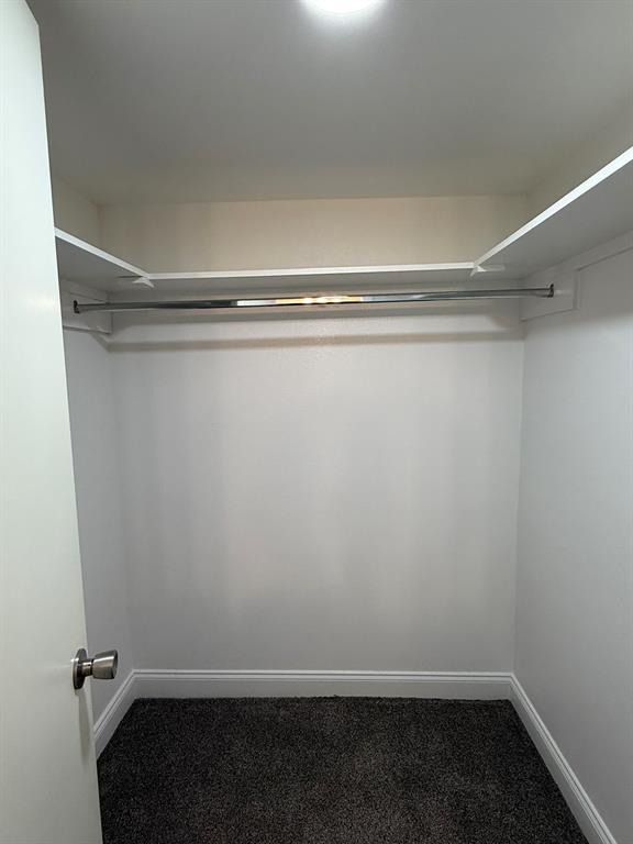3650 Rickshaw Drive, Unit 3656 Dallas, TX 75229 - Photo 14 of 20 Walk in closet with dark carpet