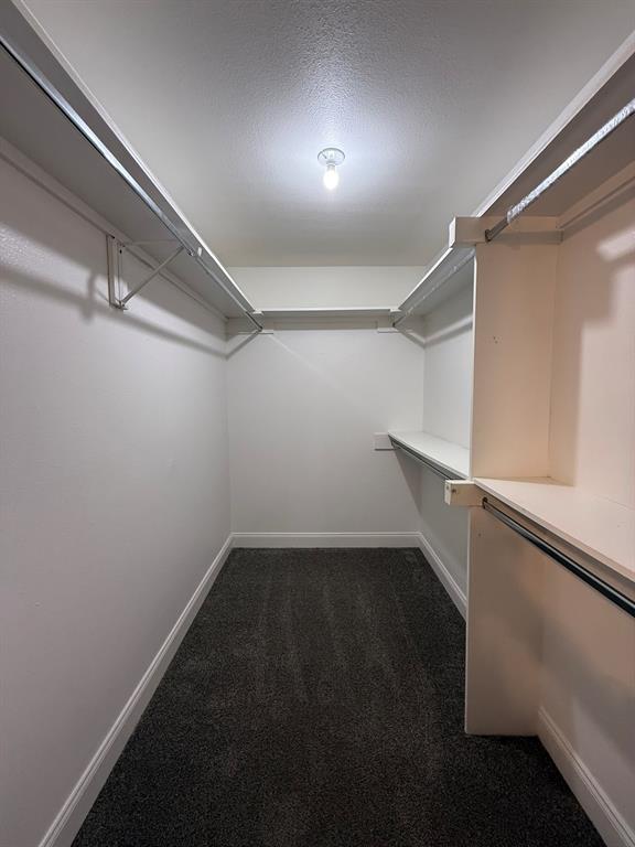 3650 Rickshaw Drive, Unit 3656 Dallas, TX 75229 - Photo 19 of 20 Walk in closet featuring dark colored carpet