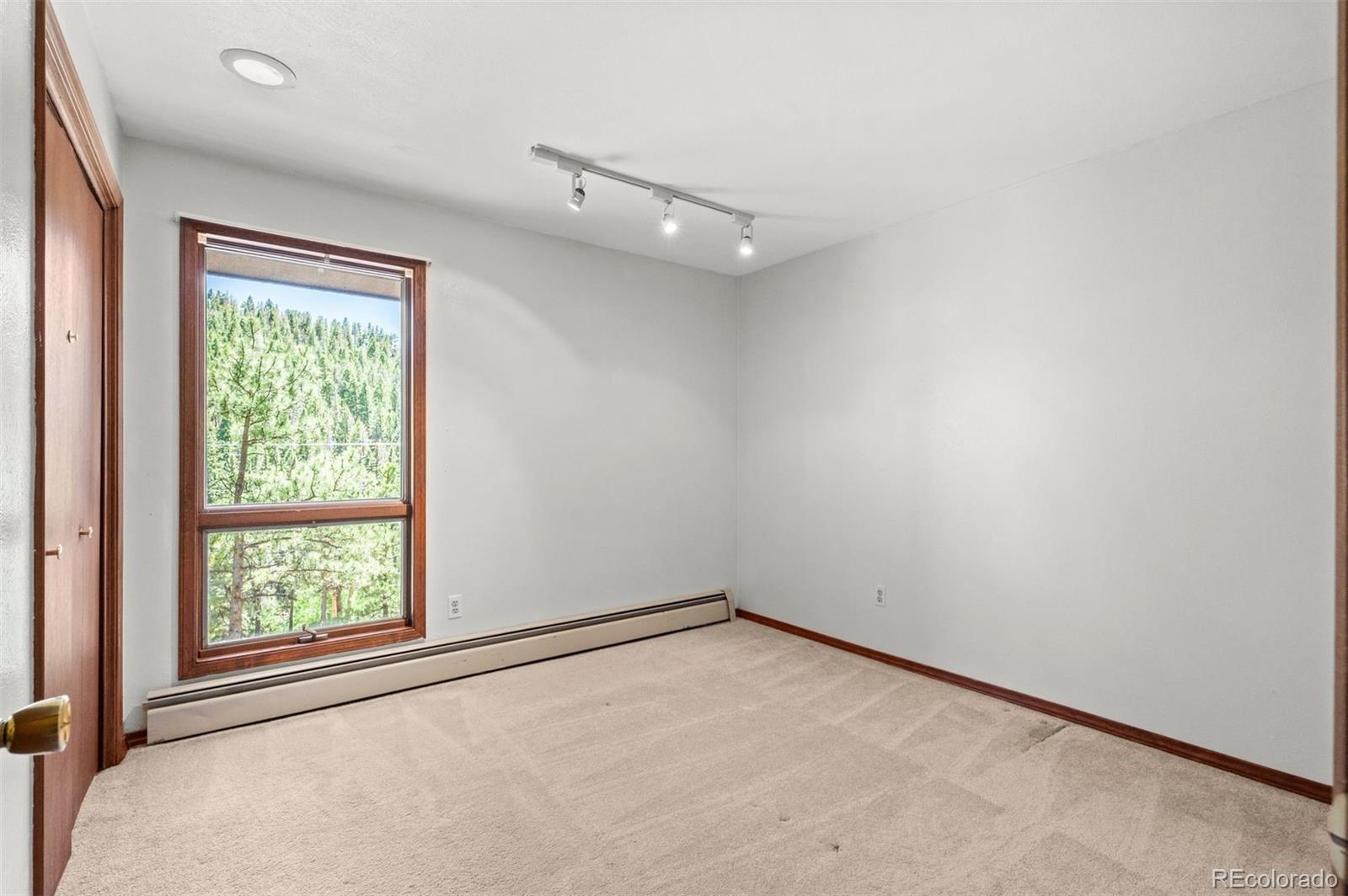 33057 Little Cub Road Evergreen, CO 80439 - Photo 23 of 50