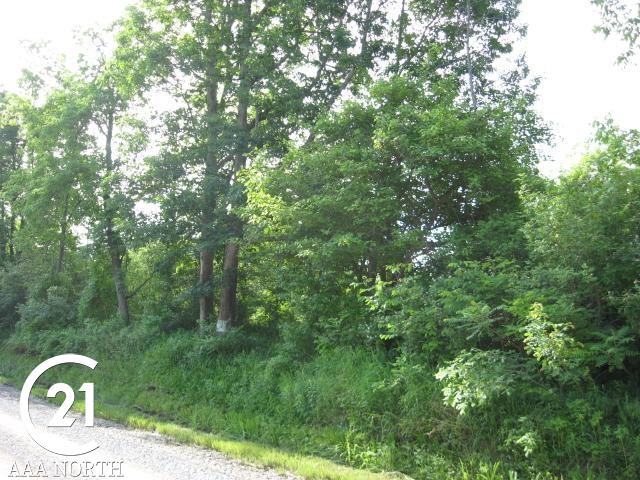 0 Hough Road Dryden, MI 48428 - Photo 5 of 6