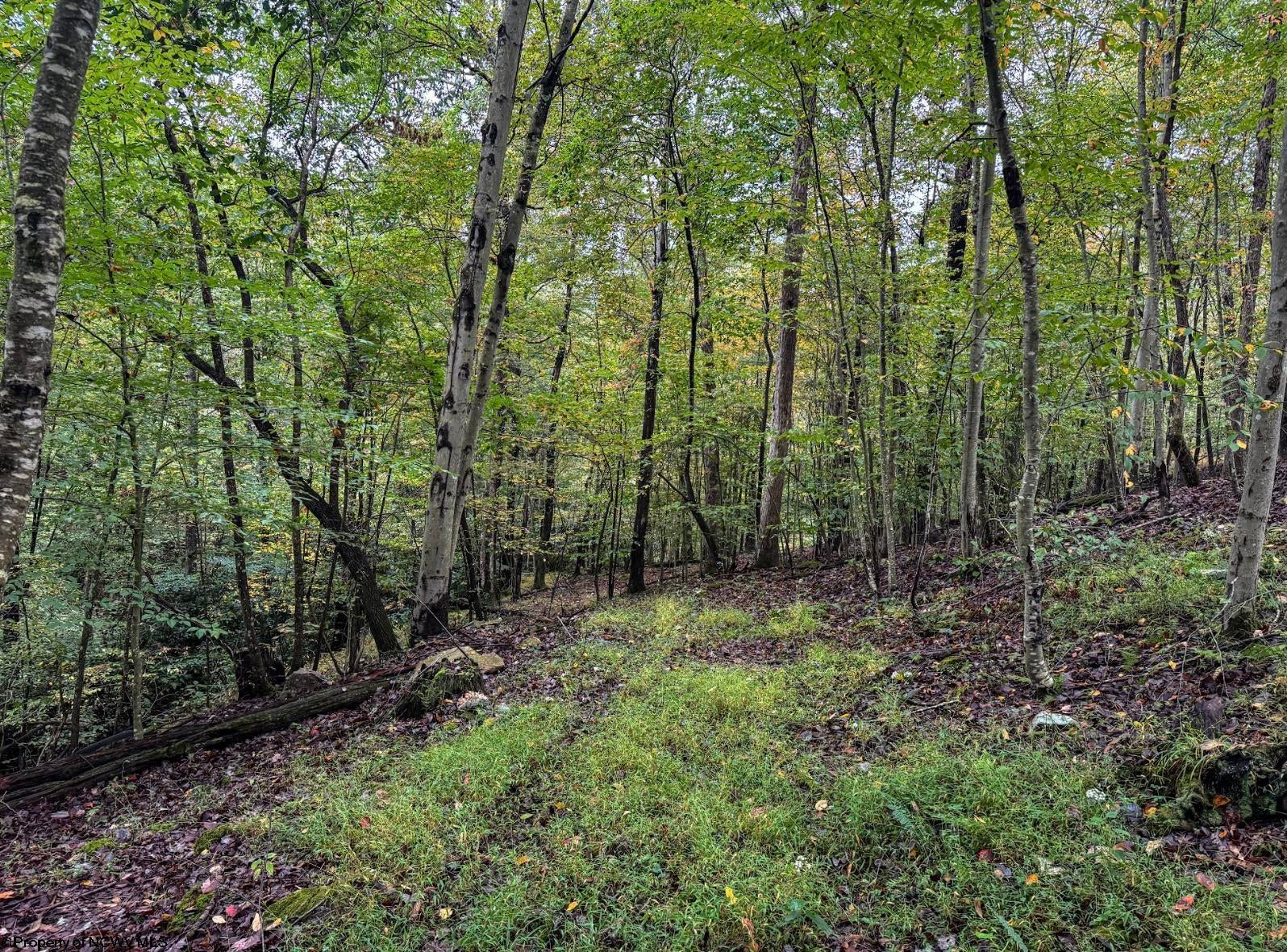 Tbd Tbd Levels Fairmont, WV 26554 - Photo 7 of 30 Gallery Image 7