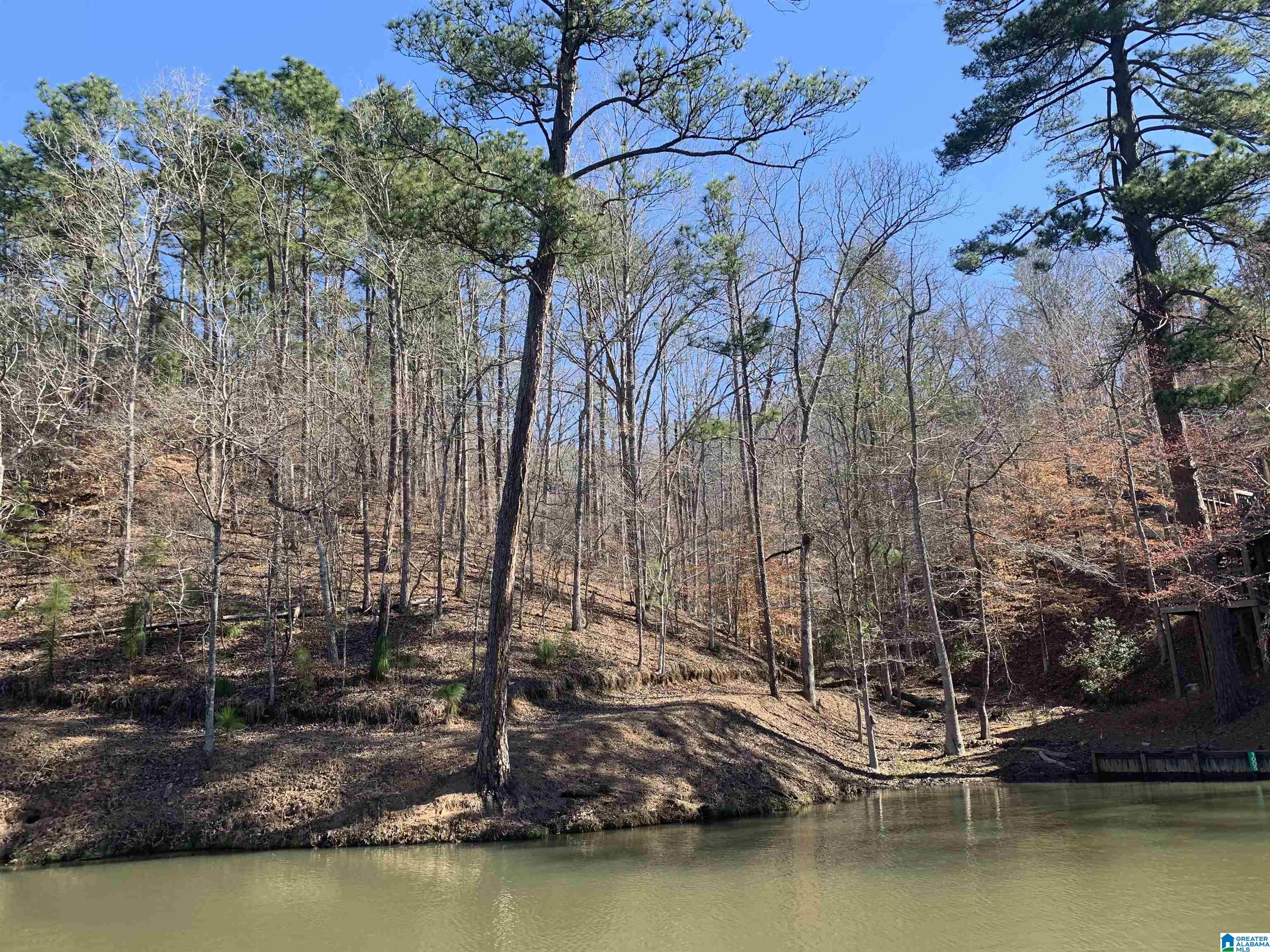 14 Highland Road, Unit LOT 14 AND 15 Goodwater, AL 35072 - Photo 3 of 7