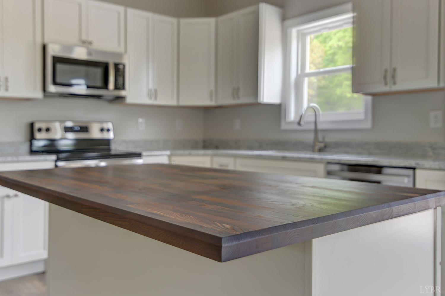 1556 Goat Island Road Long Island, VA 24569 - Photo 8 of 35 Gallery Image 8