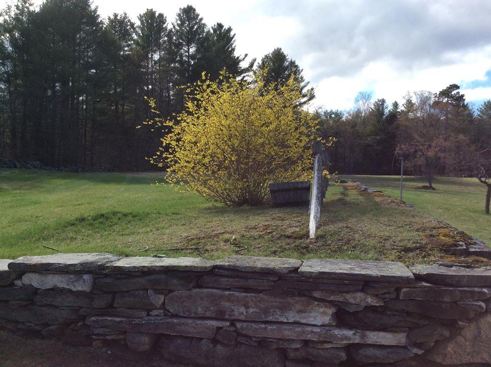 234 Camp Road Plainfield, NH 03770 - Photo 34 of 39 Gallery Image 34