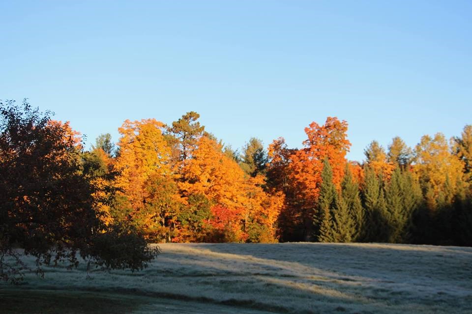 234 Camp Road Plainfield, NH 03770 - Photo 35 of 39 Gallery Image 35