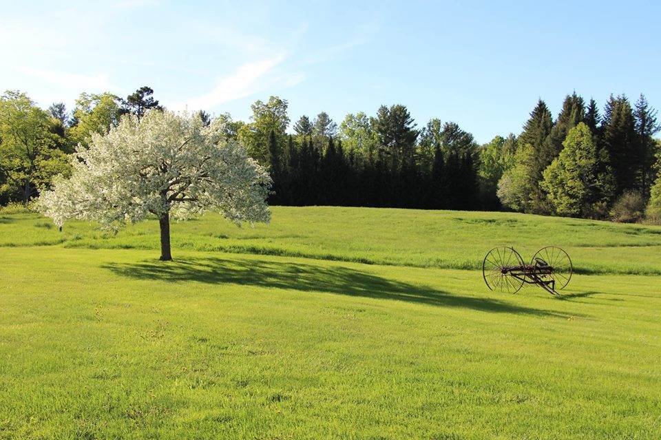 234 Camp Road Plainfield, NH 03770 - Photo 39 of 39 Gallery Image 39