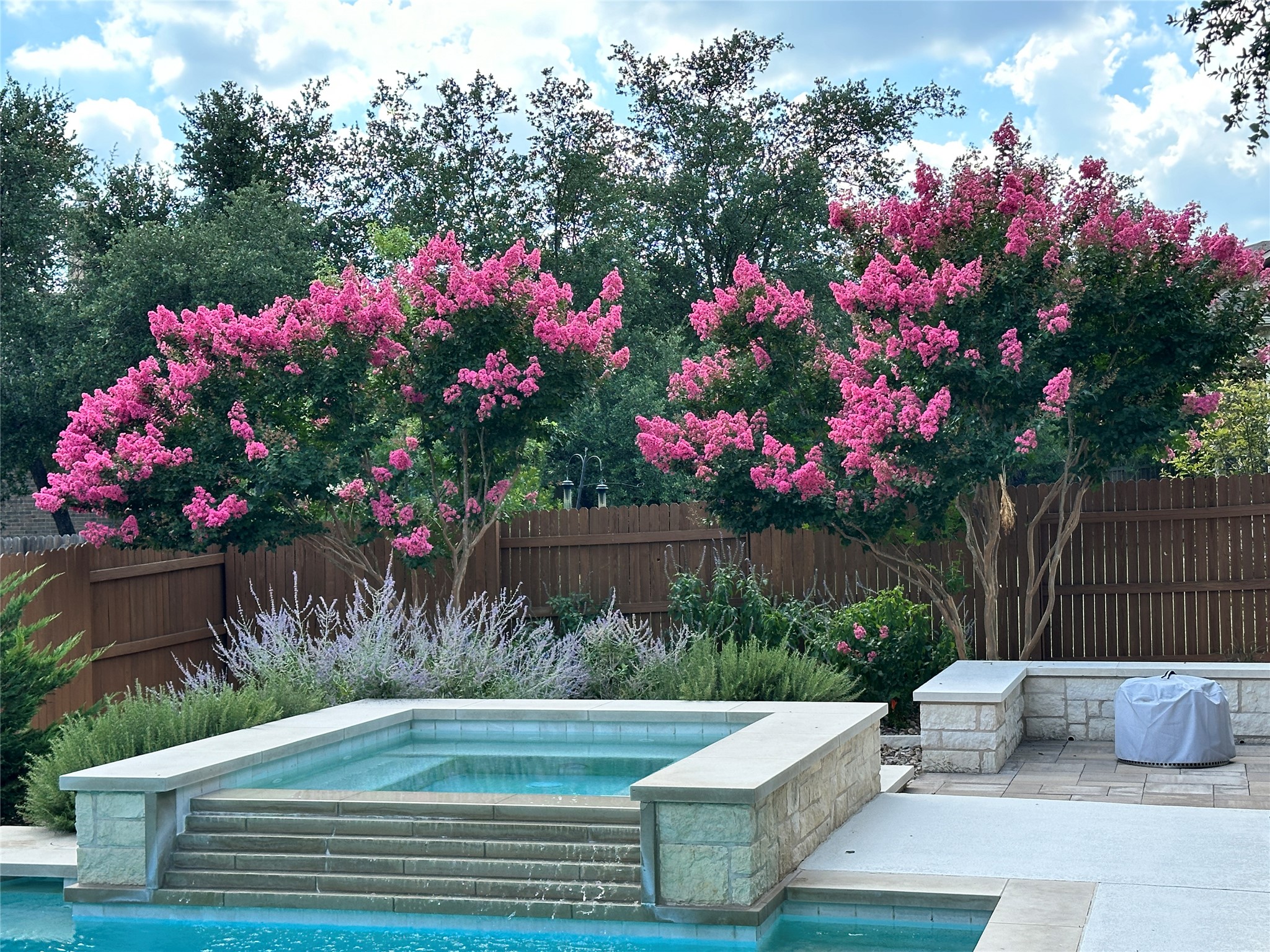 558 Merion Drive Austin, TX 78737 - Photo 37 of 40 a view of a garden with flowers