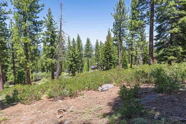 a big yard with flowing stream of water in middle