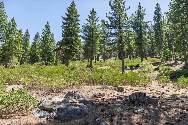 a view of a grassy field with trees around