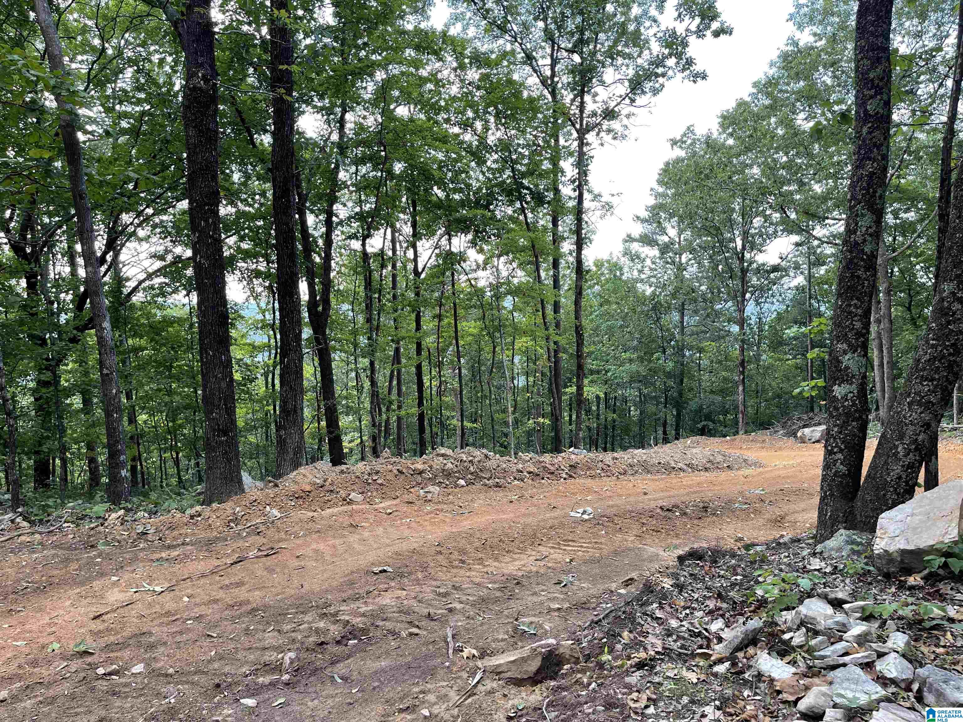 0 Scenic Road Jacksonville, AL 36265 - Photo 11 of 42