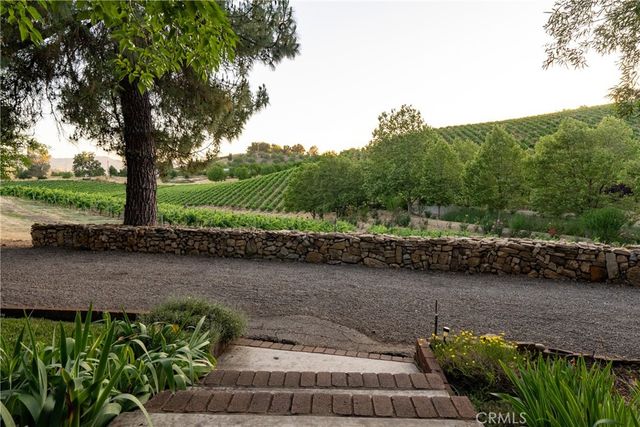 a view of a lush green forest with mountains in the background
