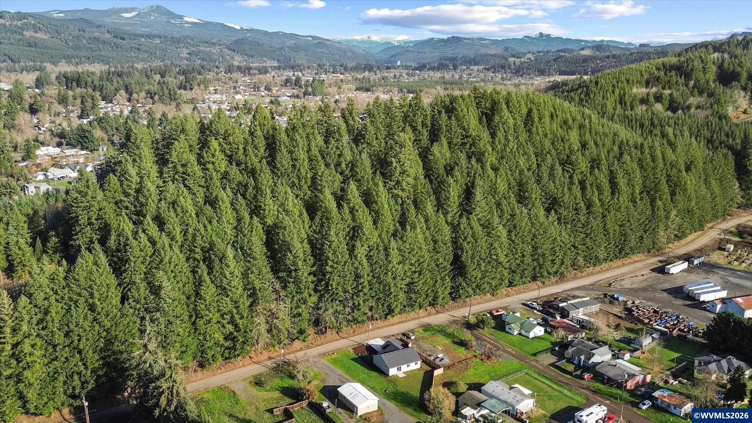 2201 Ames Creek Road Sweet Home, OR 97386 - Photo 36 of 41