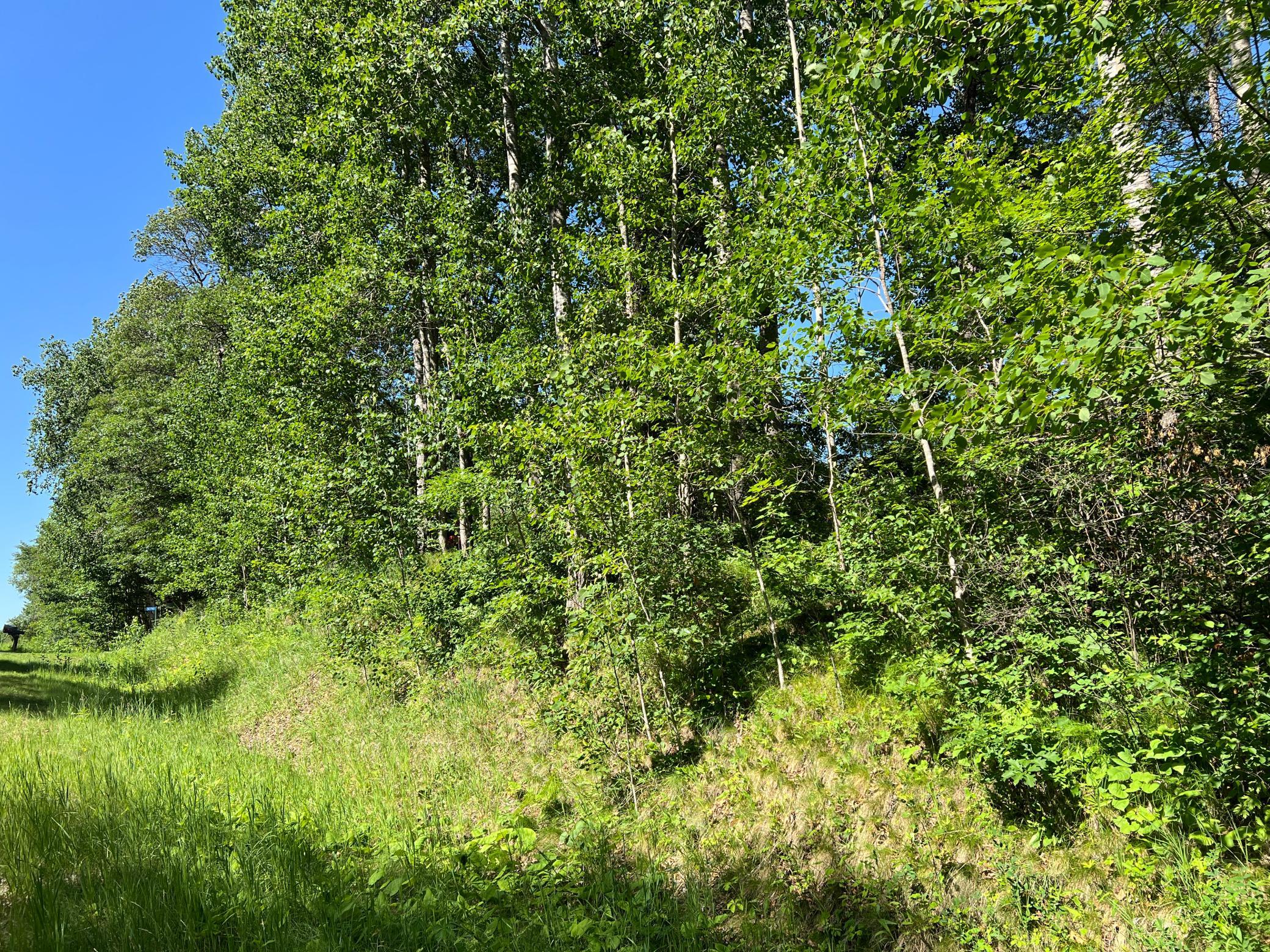 Lot 8 Terminal Road Breezy Point, MN 56472 - Photo 6 of 14