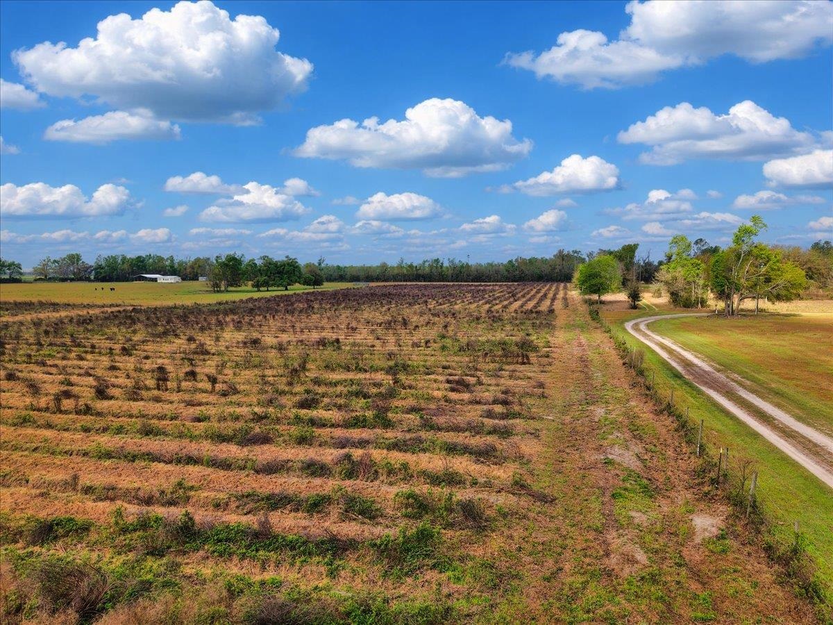 0 197th Road Live Oak, FL 32060 - Photo 1 of 23