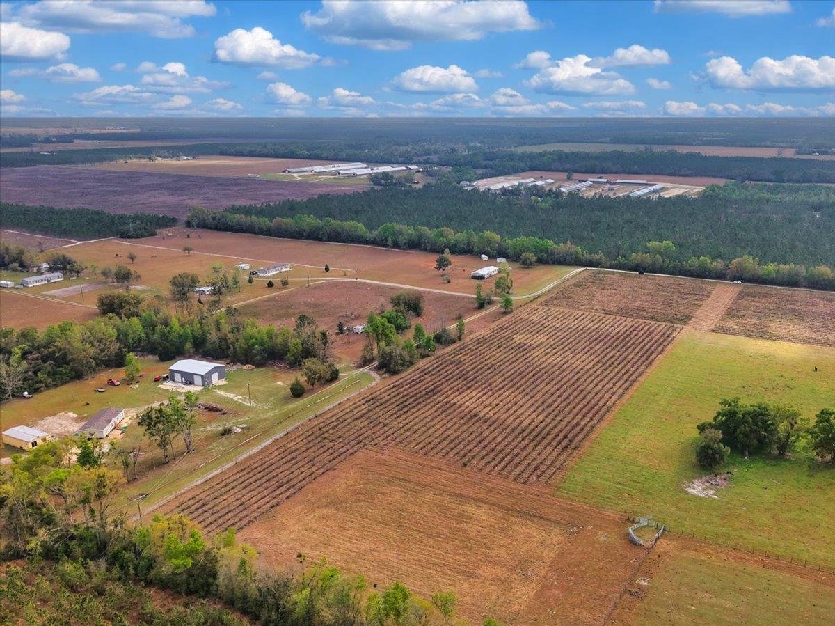 0 197th Road Live Oak, FL 32060 - Photo 11 of 23